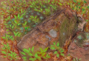 Larry Johnson artist, landscape drawing, stony brook reservation, oil pastel, colored pencil