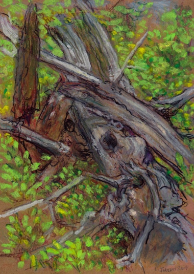 Larry Johnson artist, landscape drawing, stony brook reservation, colored pencil
