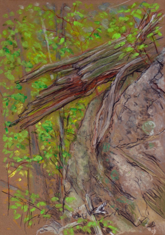 Larry Johnson artist, landscape drawing, stony brook reservation, oil pastel, colored pencil